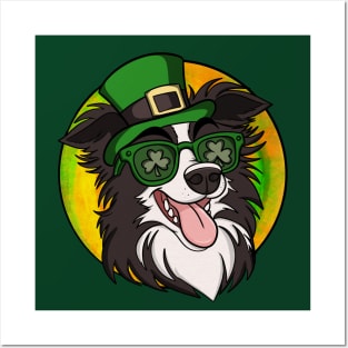 Irish Border Collie Posters and Art